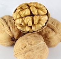 核桃深加工項目-核桃油設(shè)備生產(chǎn)商鄭州企鵝糧油(圖1)