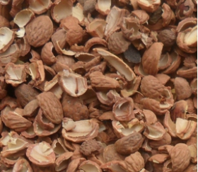 核桃深加工項目-核桃油設(shè)備生產(chǎn)商鄭州企鵝糧油(圖3)