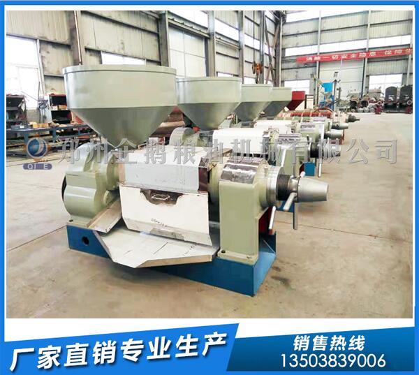 辣椒籽榨油機生產(chǎn)線,企鵝品牌深得民心(圖1) 辣椒籽榨油機設備