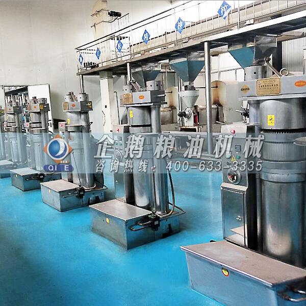 核桃油壓榨設備