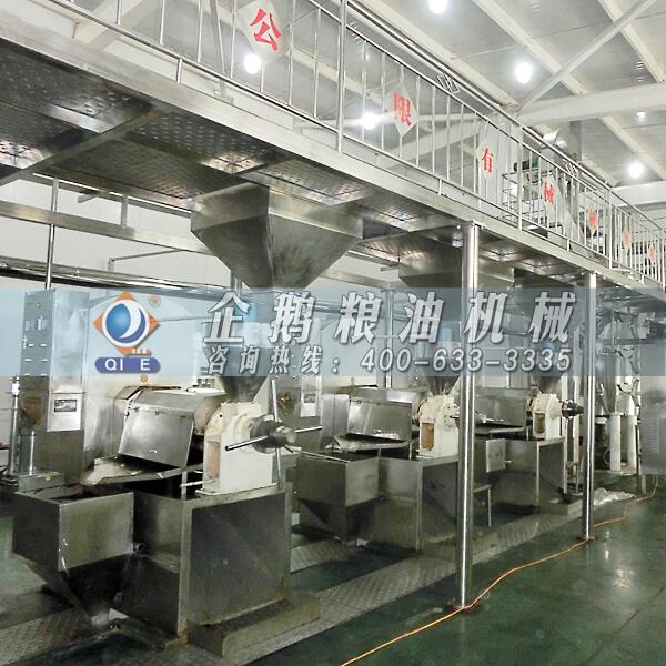 茶籽油加工設(shè)備廠家,鄭州企鵝重磅出擊(圖1) 茶籽榨油機設(shè)備