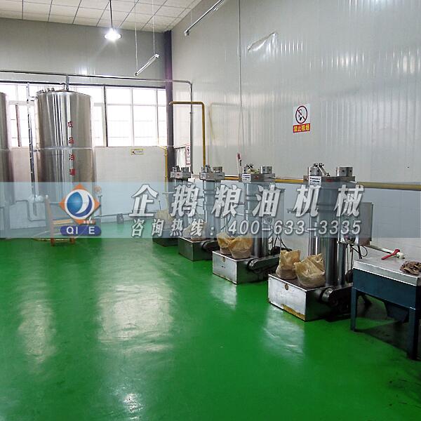 核桃油加工設(shè)備