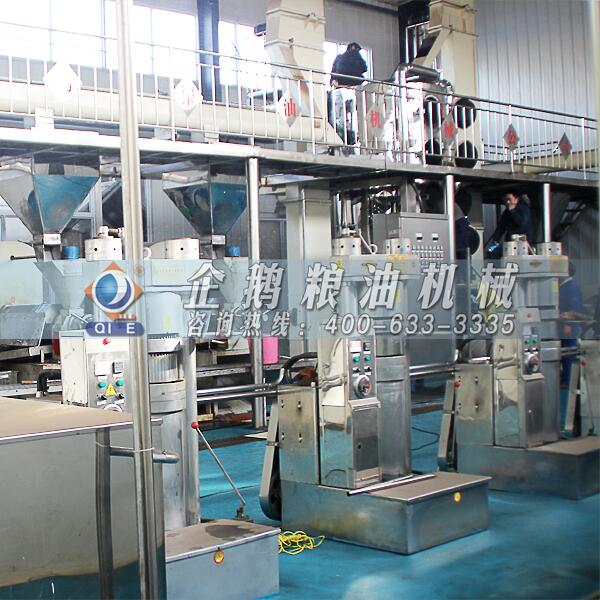 核桃榨油機(jī)