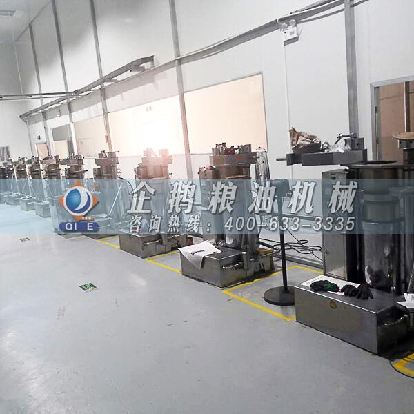 核桃油加工設(shè)備