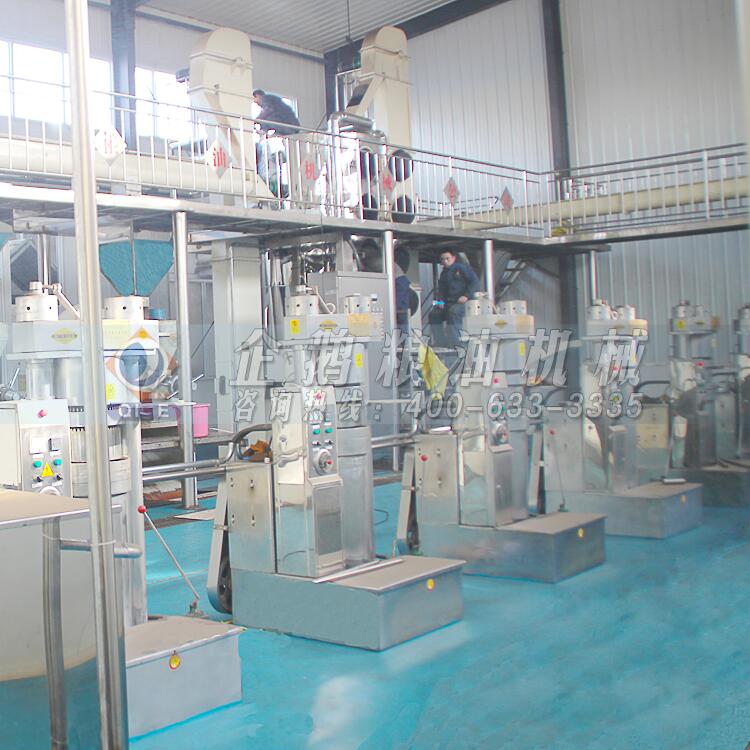 核桃油加工設(shè)備